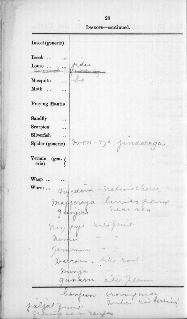 Folio 40/29-41, XII 2B, 2, Binyunyu, f. Of Garugarunya R.H., Woonbanup ...