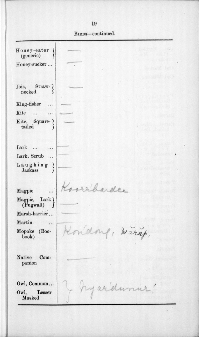 Boordenam, f. also Beereenan, f., Boongong, m., Werdabirt, m. Of ...