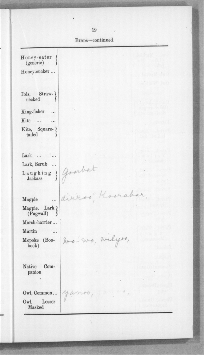 W. Hymus, E.a.a. Fawcett And Robert Scott Of Murray District