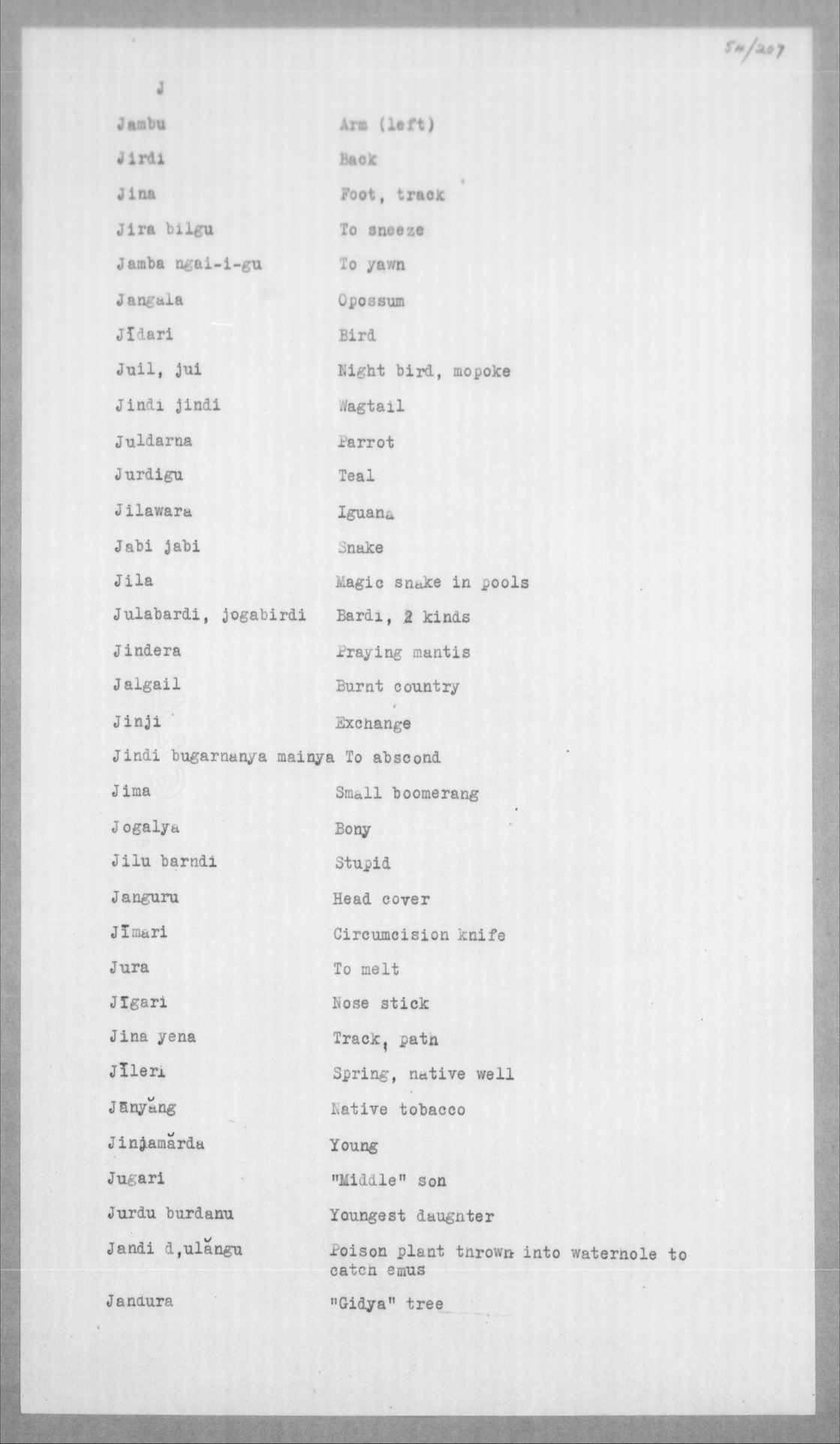 Vocabulary of Wajida , about 40 Waianwonga Warngun and Yaladulgu N.E ...