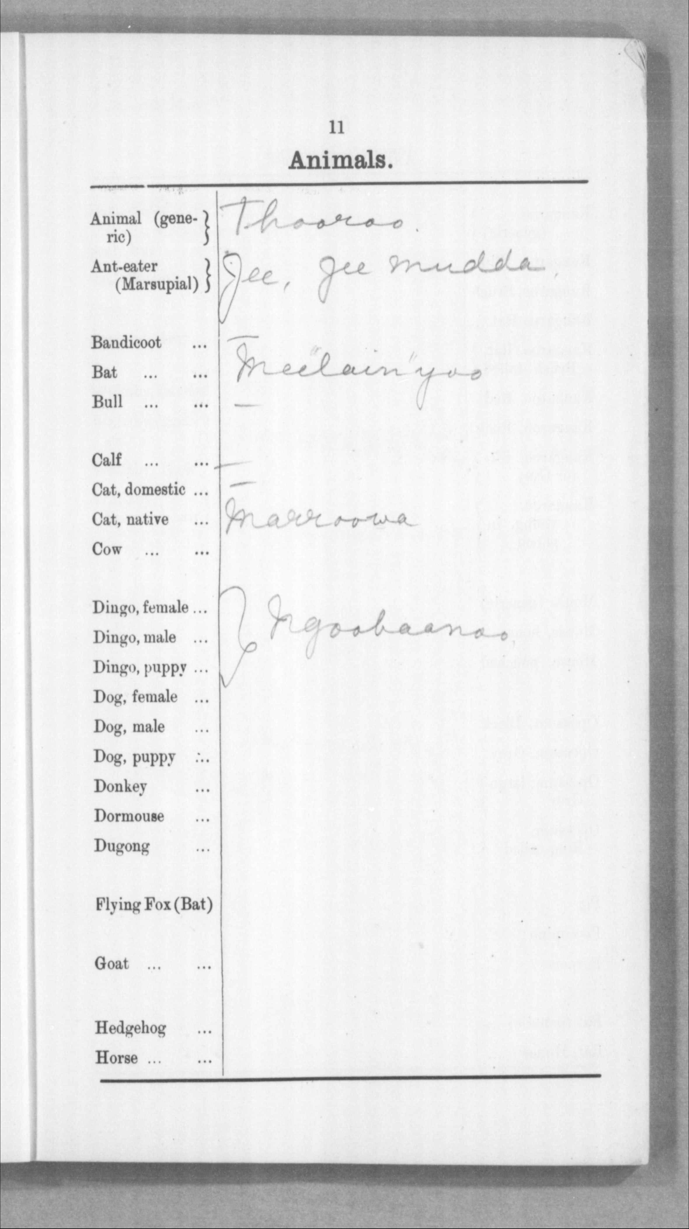 Balgomain (m.) Of Gullewa , Murchison Magisterial District Bialja people