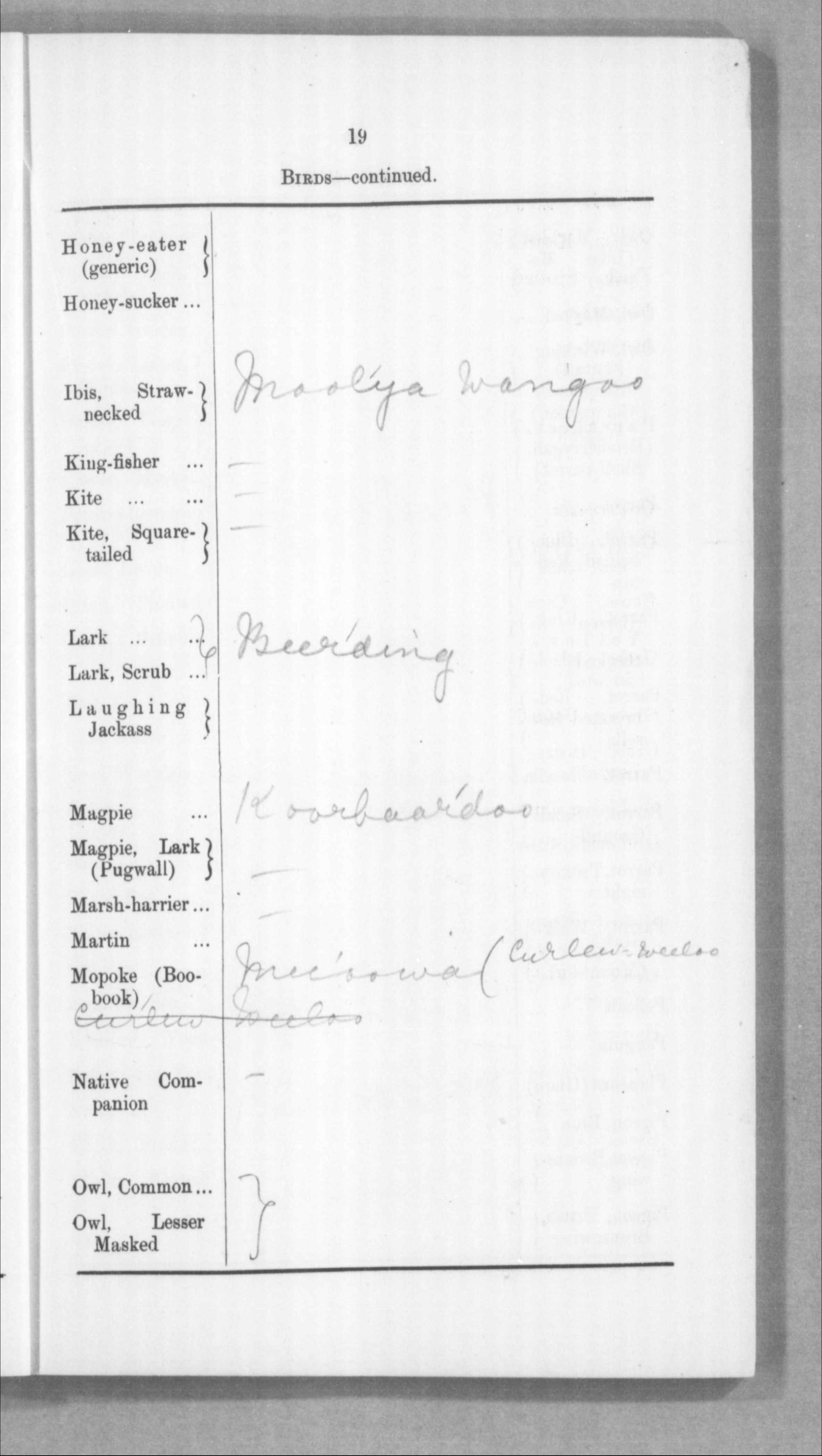 Balgomain (m.) Of Gullewa , Murchison Magisterial District Bialja people