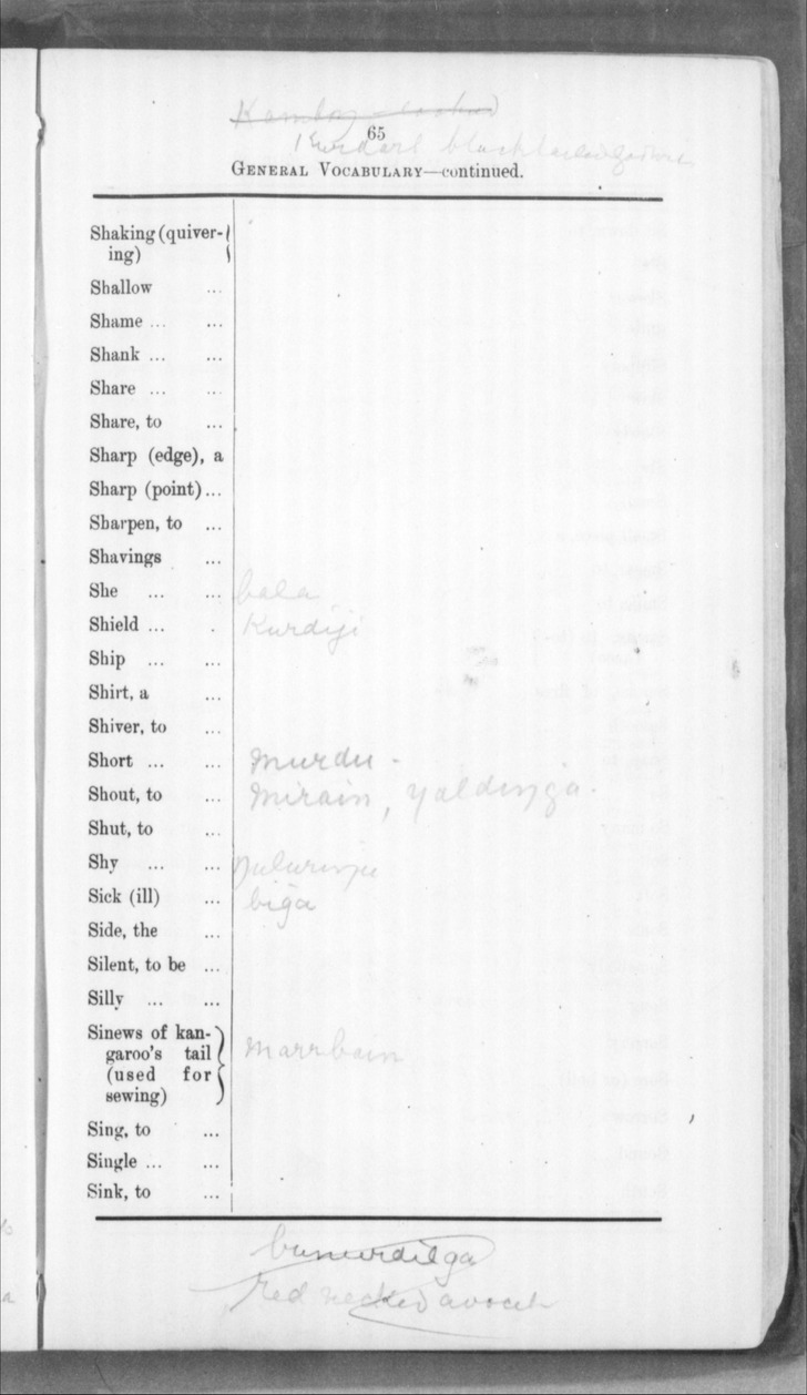 Native Vocabulary of the Yagganguri and other wongga Murnaambula ...